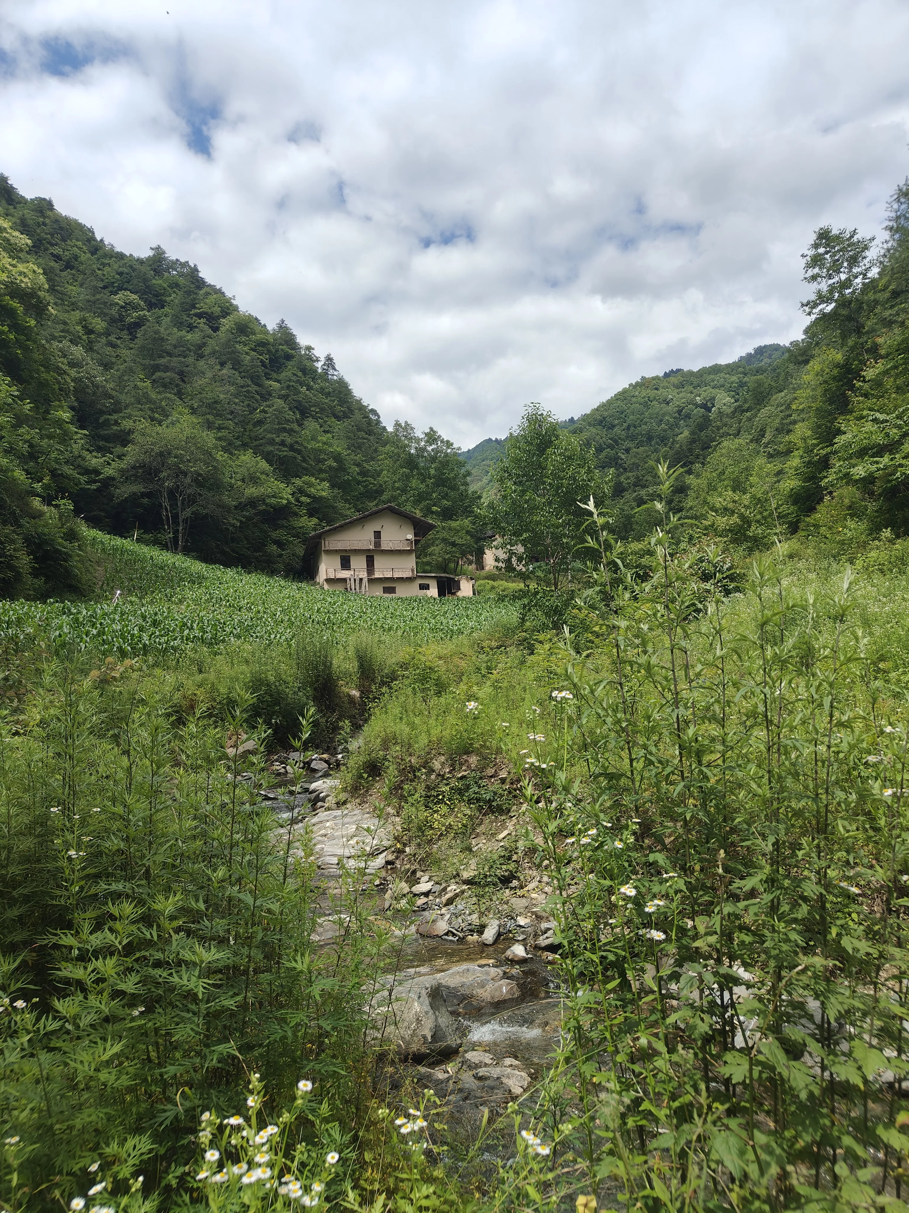 IMG20260704151640.jpg