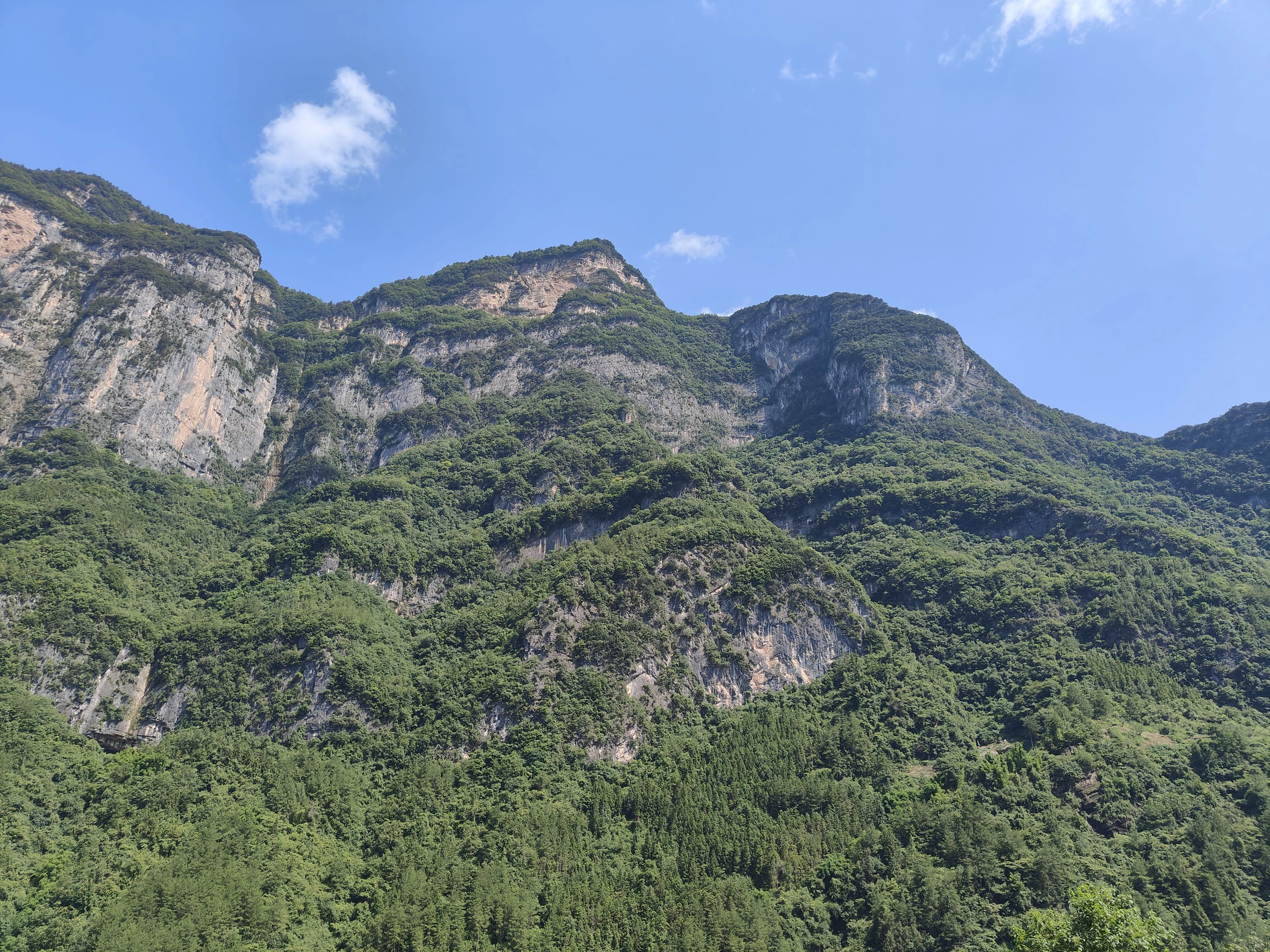 IMG20260704102014.jpg