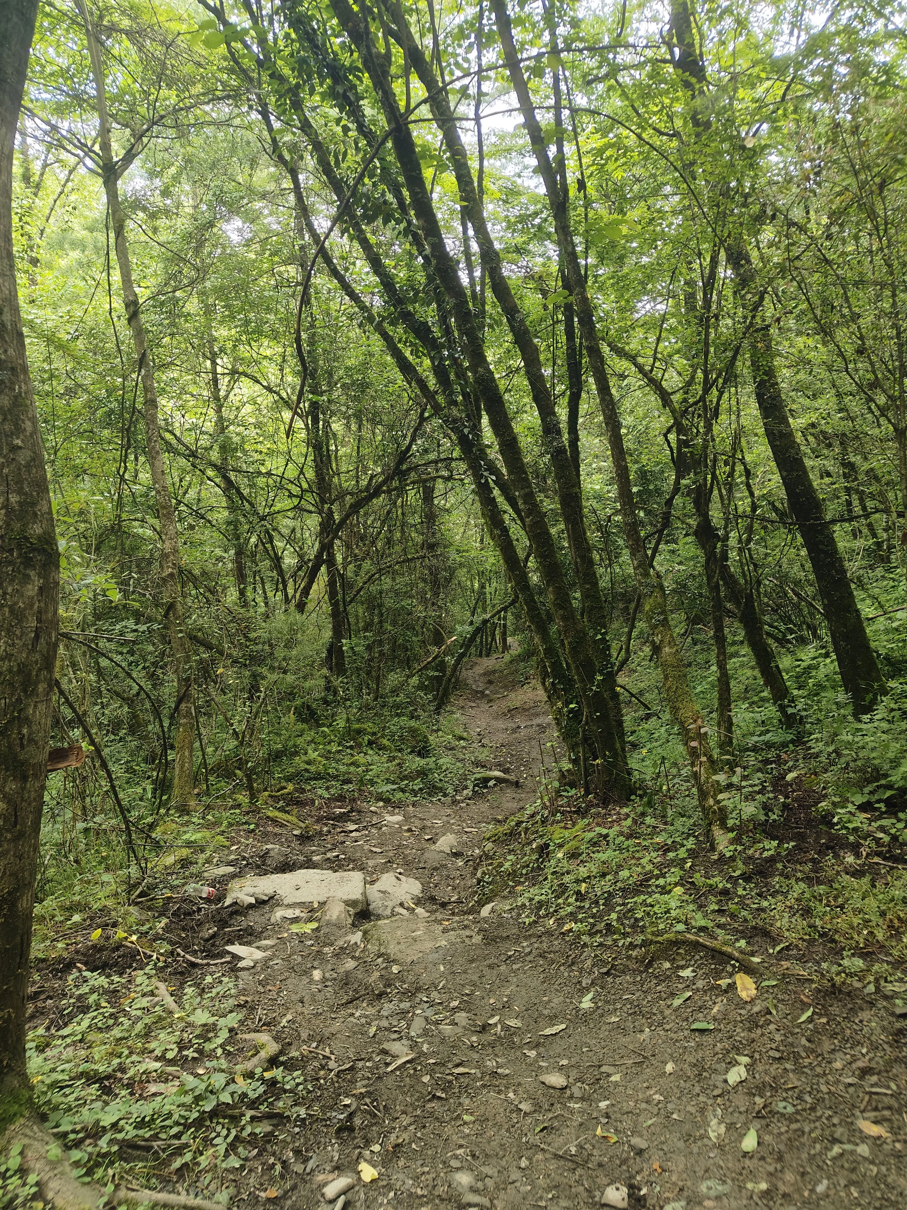 IMG20260704154219.jpg
