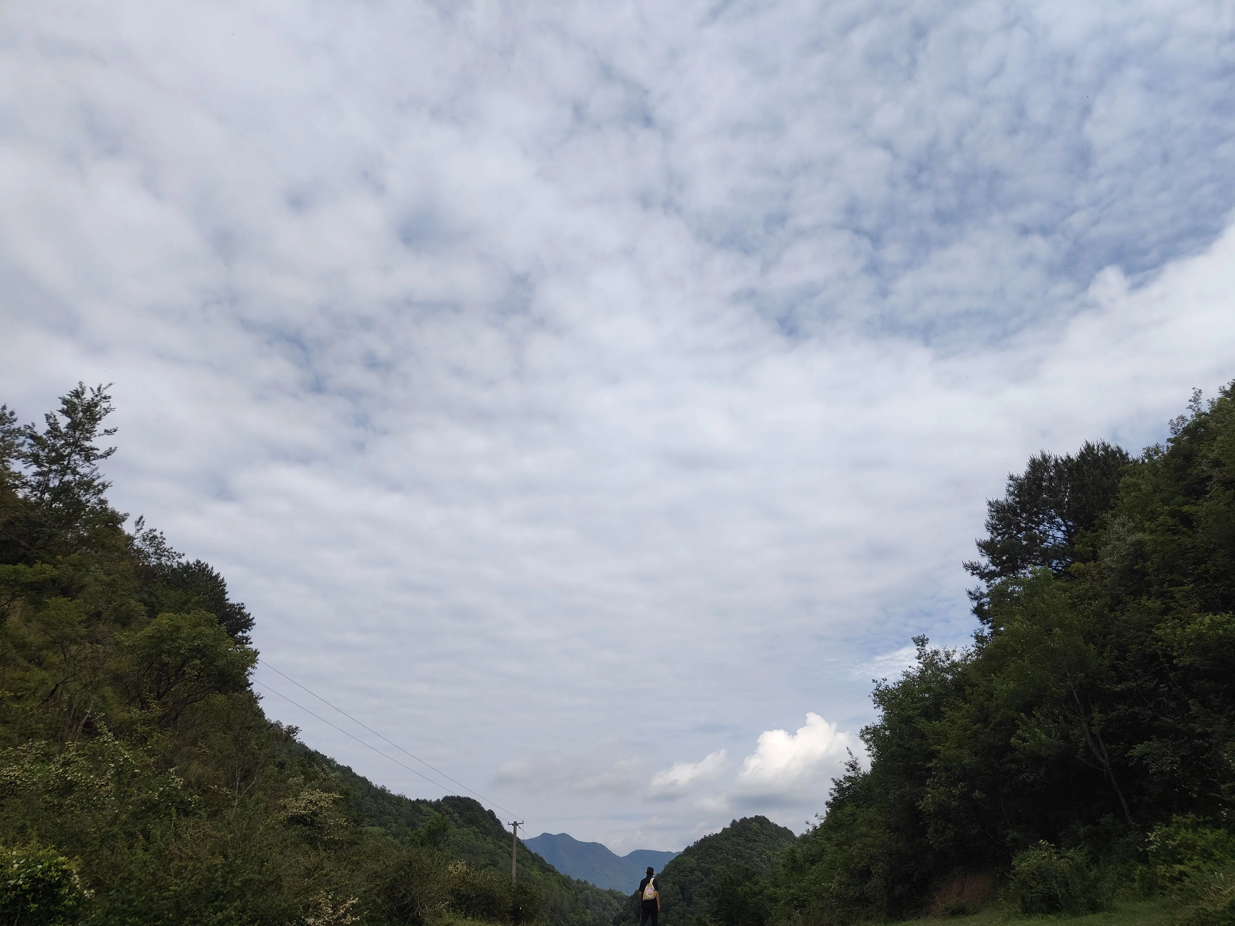 IMG20260531162947.jpg