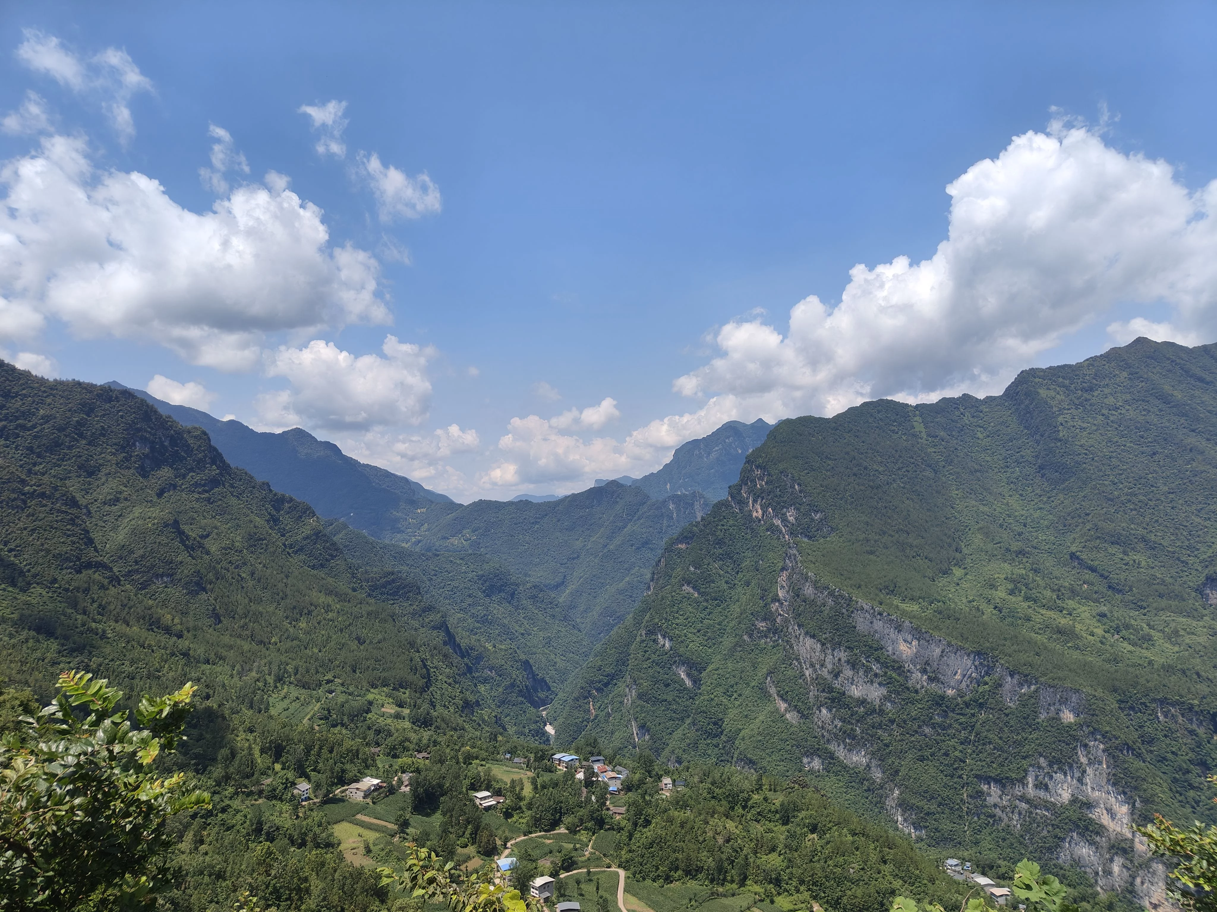IMG20260704113617.jpg